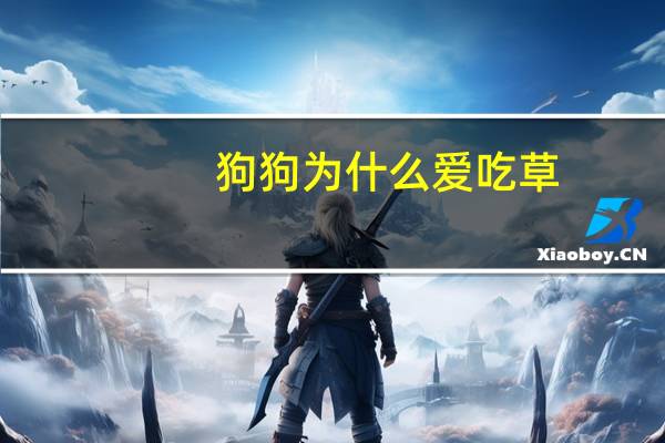 狗狗为什么爱吃草