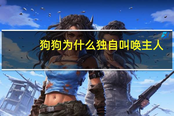 狗狗为什么独自叫唤主人