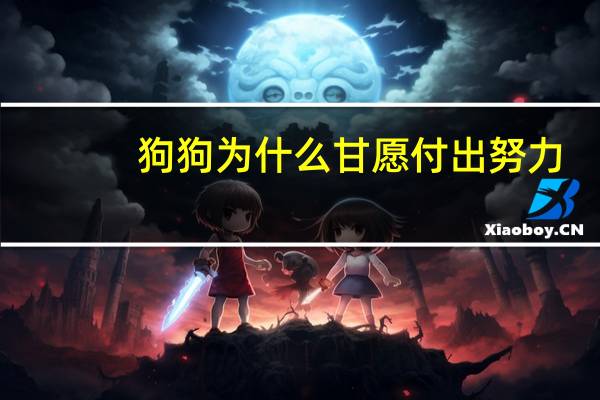 狗狗为什么甘愿付出努力