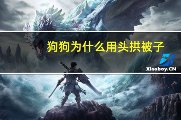 狗狗为什么用头拱被子