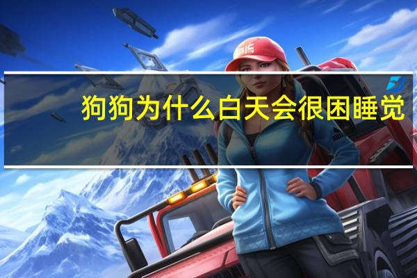 狗狗为什么白天会很困睡觉