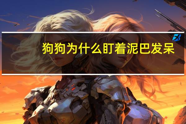 狗狗为什么盯着泥巴发呆