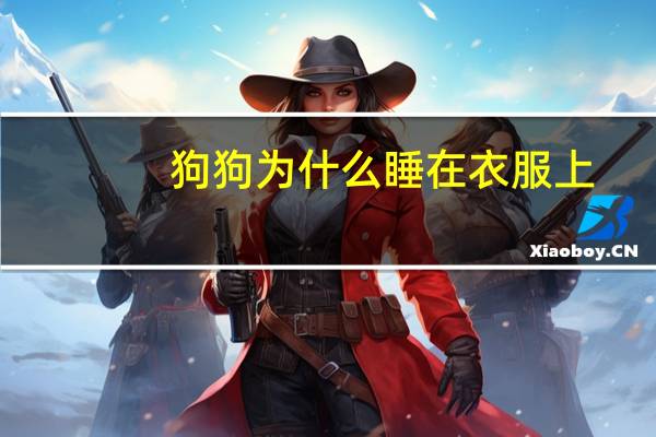 狗狗为什么睡在衣服上