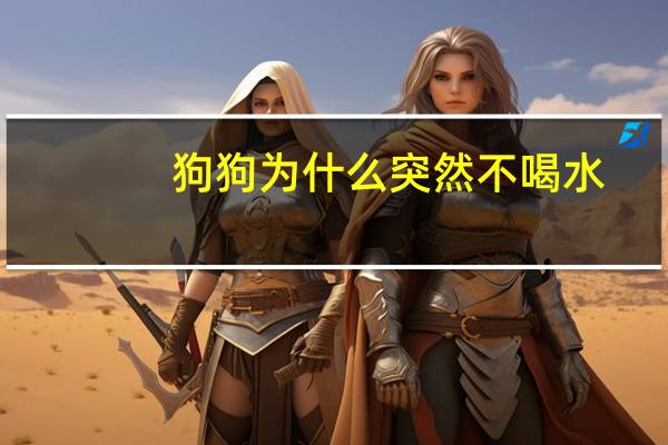 狗狗为什么突然不喝水
