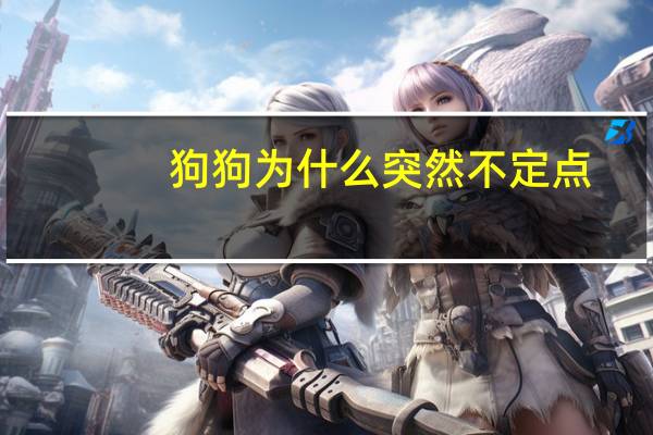 狗狗为什么突然不定点