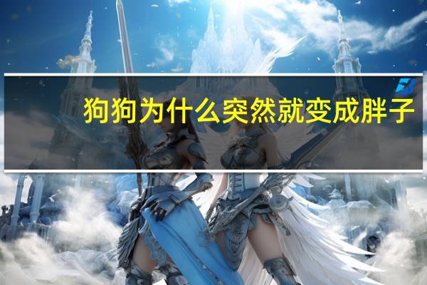 狗狗为什么突然就变成胖子