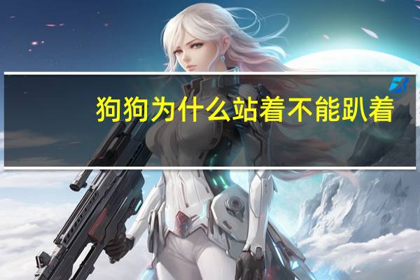 狗狗为什么站着不能趴着