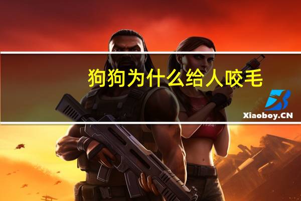狗狗为什么给人咬毛