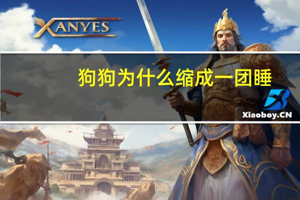 狗狗为什么缩成一团睡