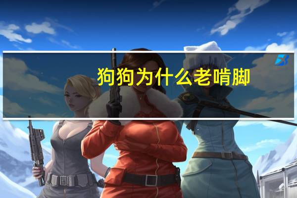 狗狗为什么老啃脚