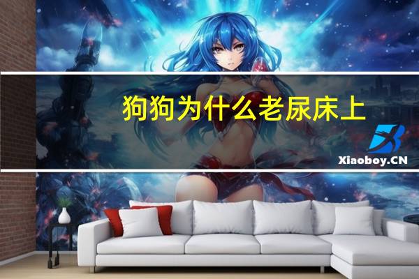 狗狗为什么老尿床上