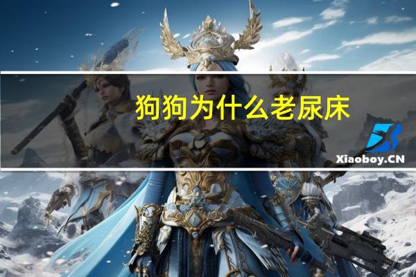 狗狗为什么老尿床