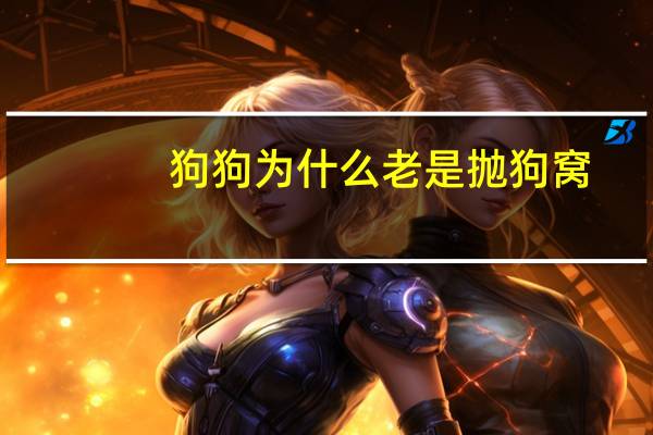 狗狗为什么老是抛狗窝
