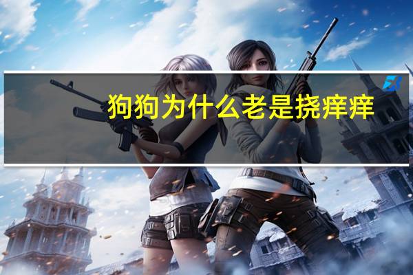狗狗为什么老是挠痒痒