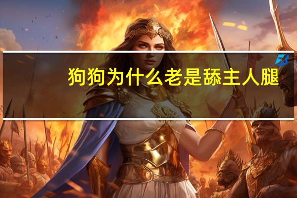 狗狗为什么老是舔主人腿