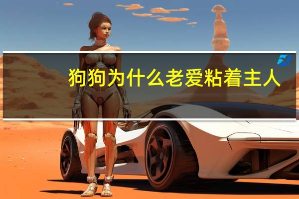 狗狗为什么老爱粘着主人