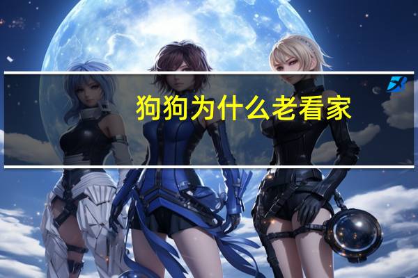 狗狗为什么老看家