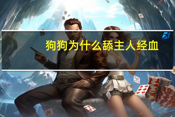 狗狗为什么舔主人经血