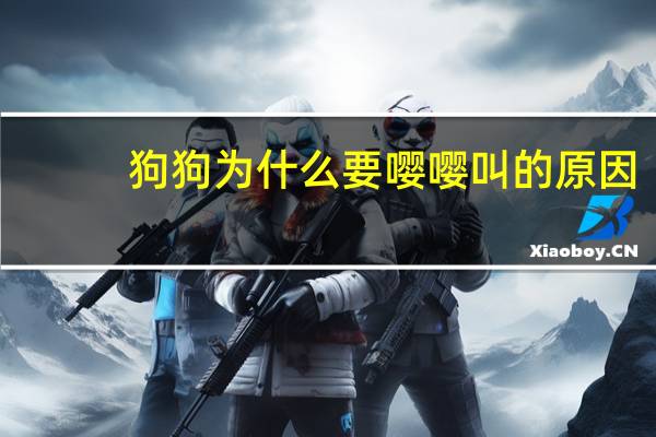 狗狗为什么要嘤嘤叫的原因