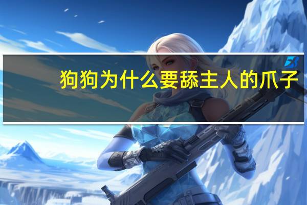 狗狗为什么要舔主人的爪子