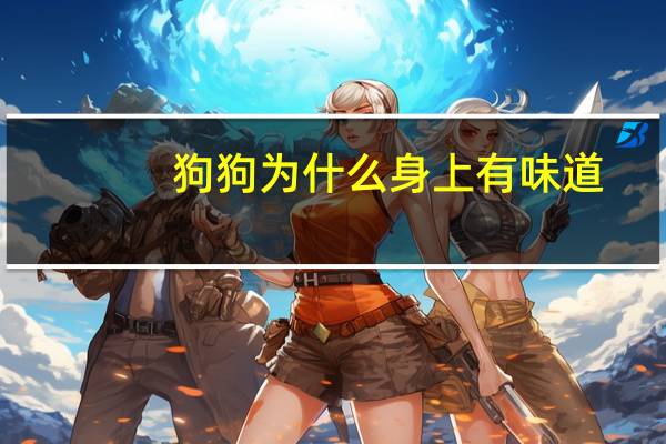 狗狗为什么身上有味道