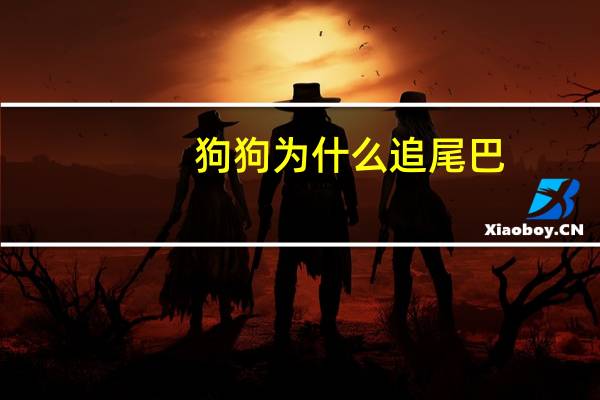 狗狗为什么追尾巴