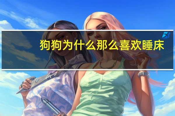 狗狗为什么那么喜欢睡床