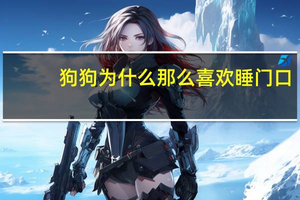 狗狗为什么那么喜欢睡门口