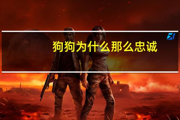 狗狗为什么那么忠诚