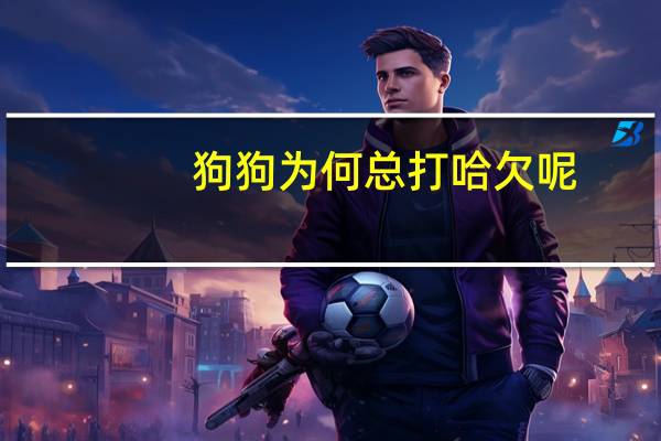 狗狗为何总打哈欠呢