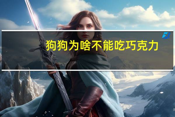 狗狗为啥不能吃巧克力