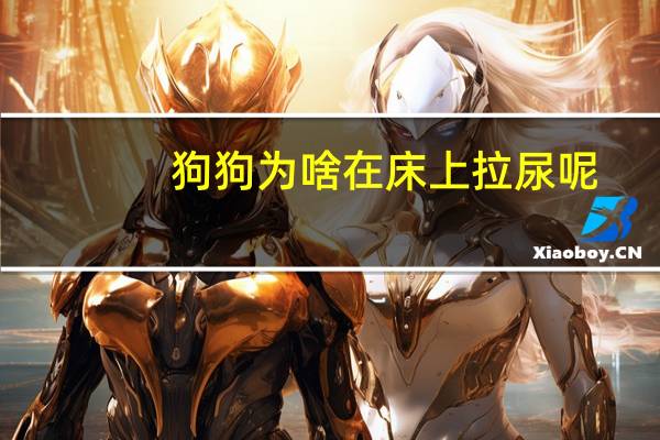 狗狗为啥在床上拉尿呢