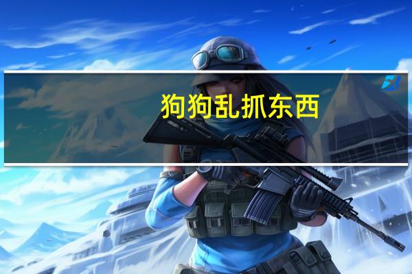 狗狗乱抓东西