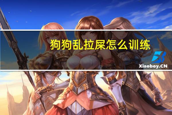 狗狗乱拉屎怎么训练