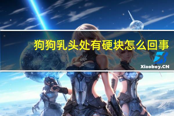 狗狗乳头处有硬块怎么回事