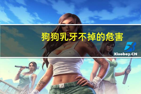 狗狗乳牙不掉的危害