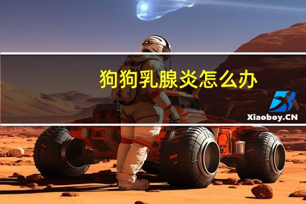 狗狗乳腺炎怎么办