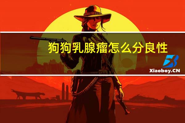 狗狗乳腺瘤怎么分良性