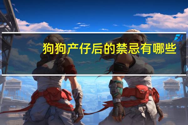 狗狗产仔后的禁忌有哪些