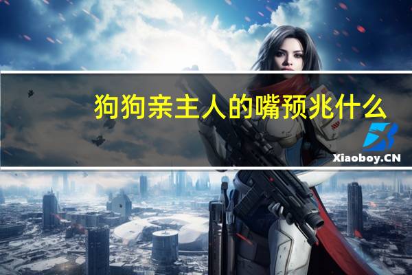 狗狗亲主人的嘴预兆什么