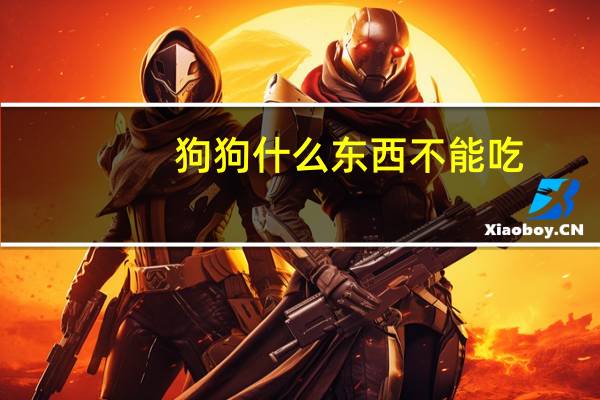 狗狗什么东西不能吃