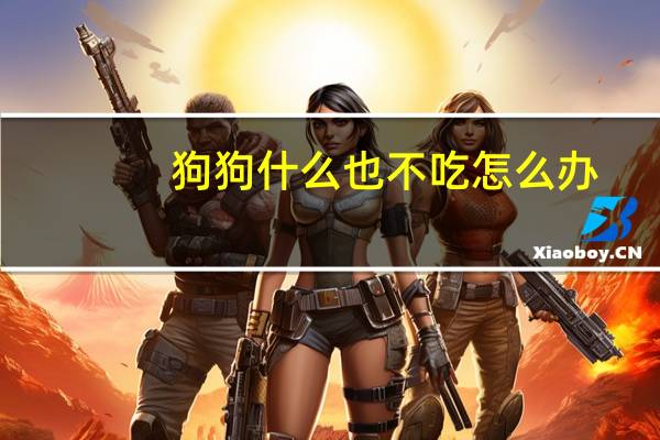 狗狗什么也不吃怎么办