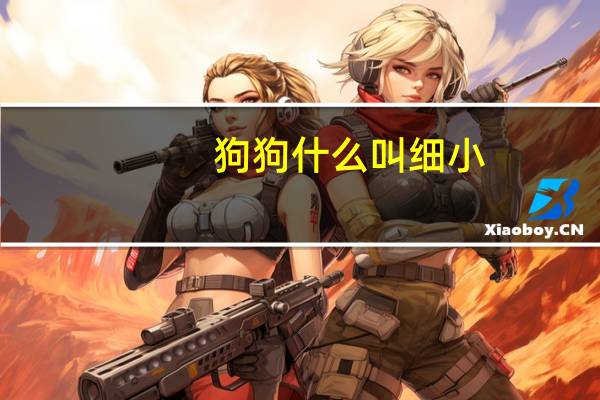 狗狗什么叫细小