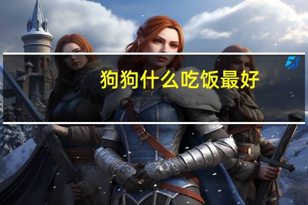 狗狗什么吃饭最好