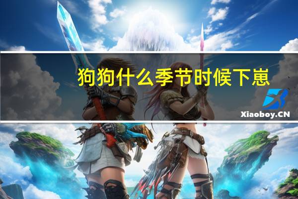 狗狗什么季节时候下崽