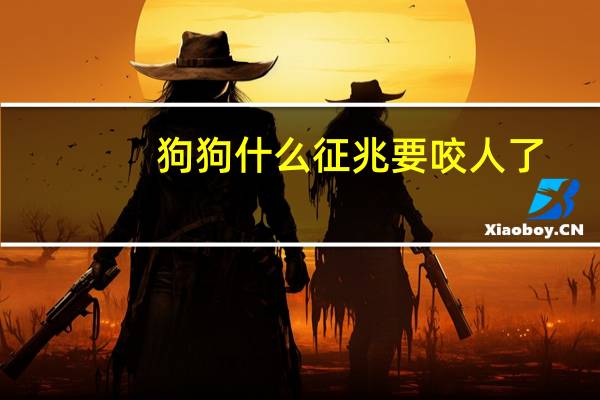 狗狗什么征兆要咬人了
