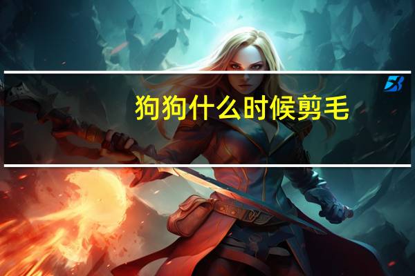 狗狗什么时候剪毛