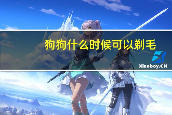 狗狗什么时候可以剃毛