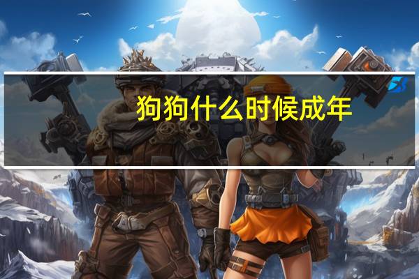 狗狗什么时候成年