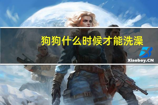 狗狗什么时候才能洗澡